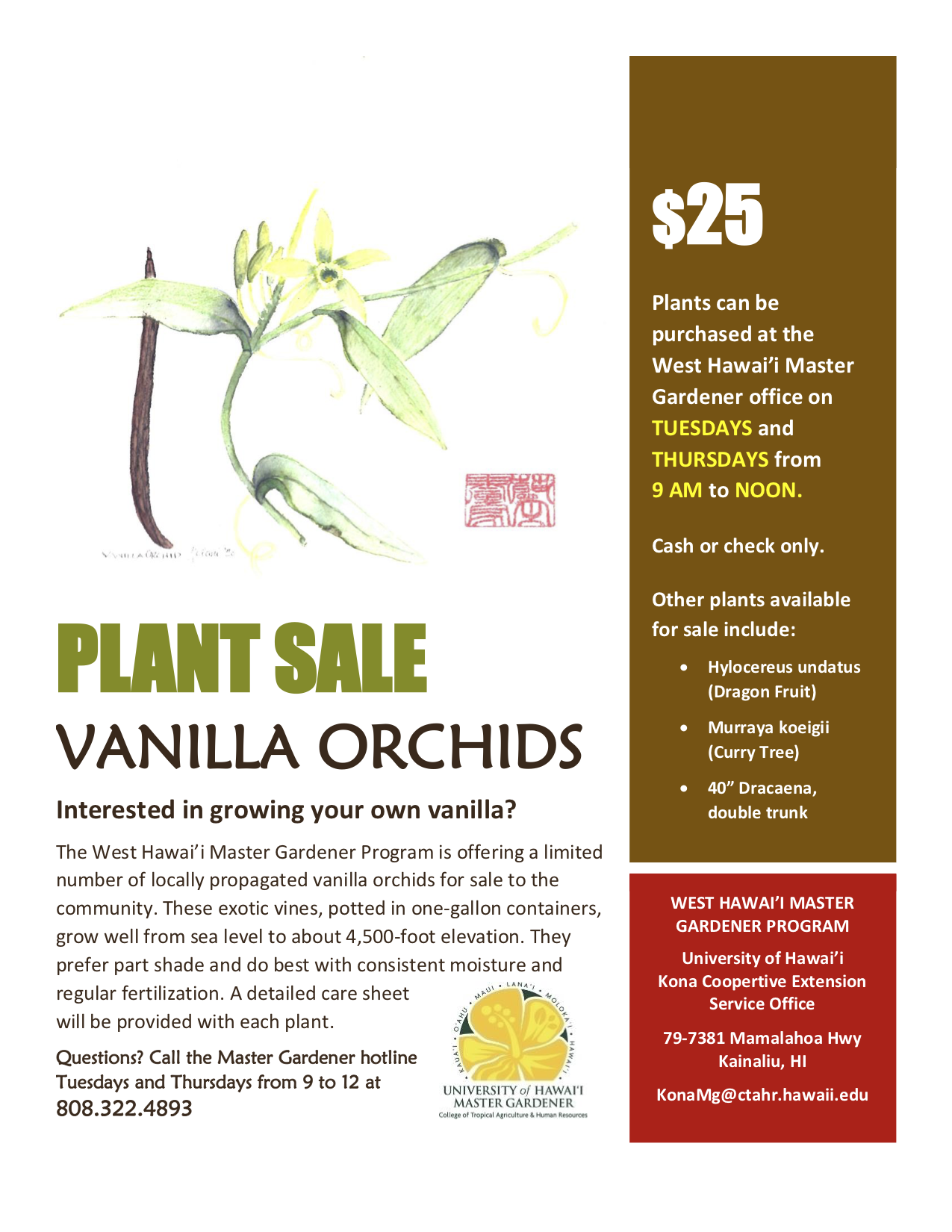 MGVanilla Orchid Flyer